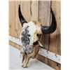 Image 7 : Big American Bison Buffalo Decorated Skull Taxidermy
