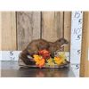Image 1 : Mink Full Body Taxidermy Mount