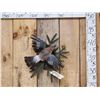Image 1 : Eurasian Jay In Flight Bird Taxidermy