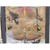 Image 3 : Frame Of 11 Exotic Insects Taxidermy Entomology