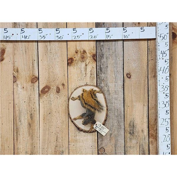 Red Squirrel Climbing Pose Taxidermy Mount