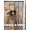 Image 2 : Awesome Golden Pheasant In Flight Bird Taxidermy