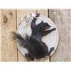 Image 2 : Black Squirrel Full Body Taxidermy Mount