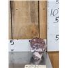 Image 1 : Hand Carved Human Skull In Strawberry Jasper Stone