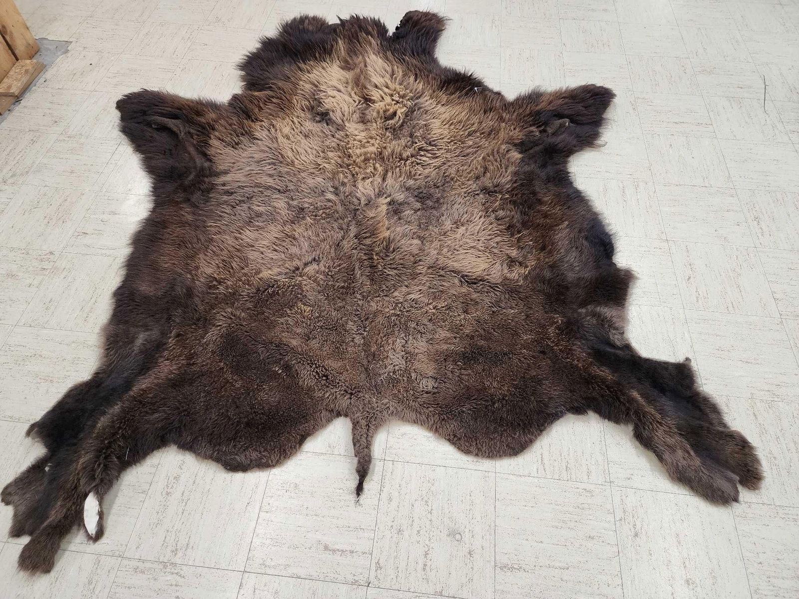 Mounted Buffalo Robe American Bison Buffalo Soft Tanned Robe With Painting Taxidermy