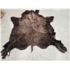 Image 4 : American Bison Buffalo Soft Tanned Robe With Painting Taxidermy