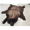 Image 5 : American Bison Buffalo Soft Tanned Robe With Painting Taxidermy