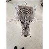 Image 1 : Zebra Soft Tanned Skin Taxidermy