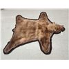 Image 4 : Blonde Phase Black Bear Rug Taxidermy