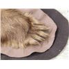 Image 6 : Blonde Phase Black Bear Rug Taxidermy