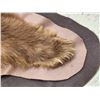 Image 9 : Blonde Phase Black Bear Rug Taxidermy