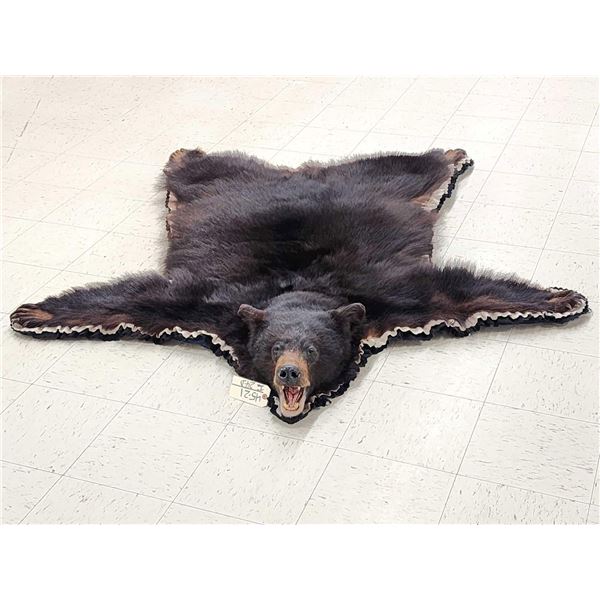 Black Bear Rug Taxidermy