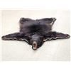 Image 1 : Black Bear Rug Taxidermy