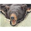 Image 2 : Black Bear Rug Taxidermy