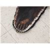 Image 4 : Black Bear Rug Taxidermy