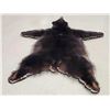 Image 5 : Black Bear Rug Taxidermy
