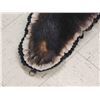 Image 6 : Black Bear Rug Taxidermy