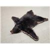Image 7 : Black Bear Rug Taxidermy