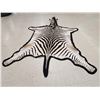 Image 12 : Unusual Zebra Rug With Finished Head Taxidermy
