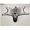 Image 1 : Unusual Zebra Rug With Finished Head Taxidermy
