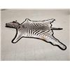 Image 4 : Unusual Zebra Rug With Finished Head Taxidermy
