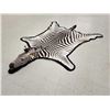 Image 5 : Unusual Zebra Rug With Finished Head Taxidermy