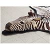 Image 6 : Unusual Zebra Rug With Finished Head Taxidermy