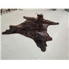Image 10 : Giant Alaskan Brown Bear Rug Taxidermy
