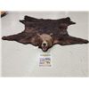 Image 1 : Giant Alaskan Brown Bear Rug Taxidermy