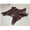 Image 5 : Giant Alaskan Brown Bear Rug Taxidermy