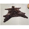 Image 7 : Giant Alaskan Brown Bear Rug Taxidermy