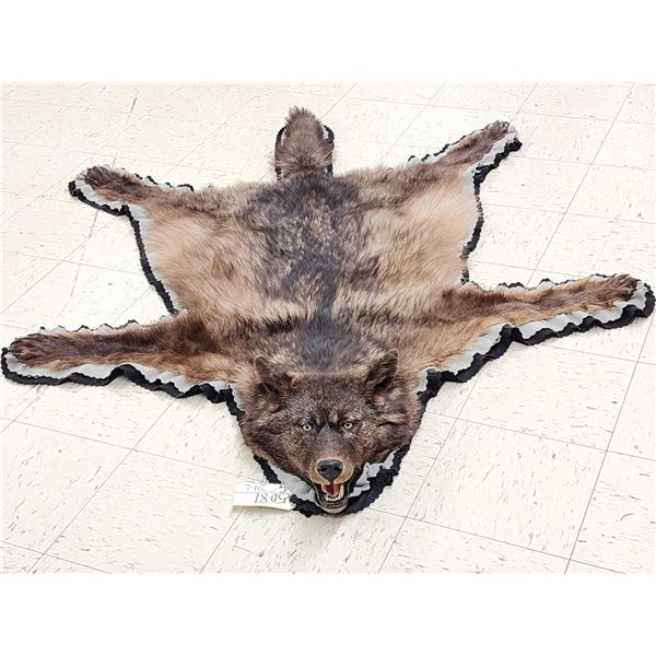 Alaskan Black Wolf Rug Taxidermy