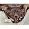 Image 2 : Alaskan Black Wolf Rug Taxidermy