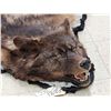 Image 3 : Alaskan Black Wolf Rug Taxidermy