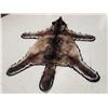 Image 6 : Alaskan Black Wolf Rug Taxidermy