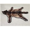 Image 7 : Alaskan Black Wolf Rug Taxidermy