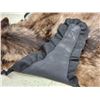Image 8 : Alaskan Black Wolf Rug Taxidermy