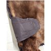 Image 10 : Chocolate Phase Black Bear Rug Taxidermy