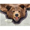 Image 2 : Chocolate Phase Black Bear Rug Taxidermy