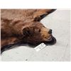 Image 3 : Chocolate Phase Black Bear Rug Taxidermy