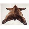 Image 5 : Chocolate Phase Black Bear Rug Taxidermy
