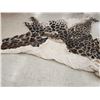 Image 8 : Tanned Giraffe Skin Taxidermy