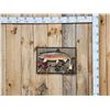 Image 1 : 22" Rainbow Trout Real Skin Fish Taxidermy