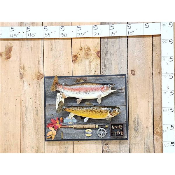 19" Brown Trout & 20" Rainbow Trout Real Skin Fish Taxidermy