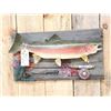 Image 2 : 26" Rainbow Trout Real Skin Fish Taxidermy