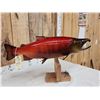 Image 7 : Coho Salmon Real Skin Fish Taxidermy