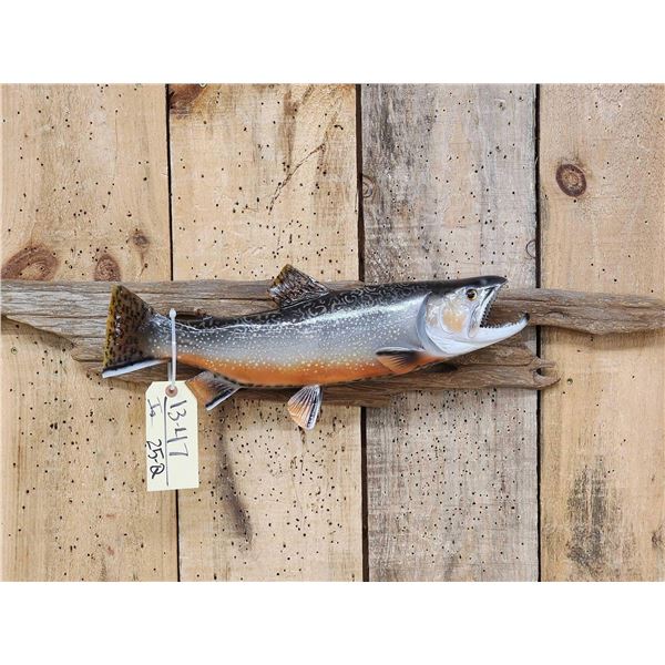 18" Brook Trout Reproduction Fish Taxidermy