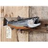 Image 2 : 18" Brook Trout Reproduction Fish Taxidermy