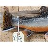 Image 4 : 18" Brook Trout Reproduction Fish Taxidermy