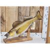 Image 1 : 28" Walleye Real Skin Fish Taxidermy